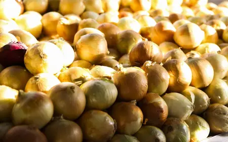 Inflação acumulada dos alimentos é a menor desde setembro de 2024