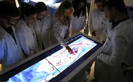 UCP de Pedro Juan com matrículas abertas para 2026.1; aulas iniciarão dia 04 de fevereiro