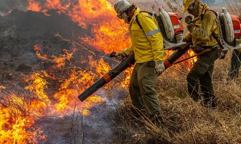 Mais de 500 municípios entram em alerta elevado para incêndios nos próximos meses