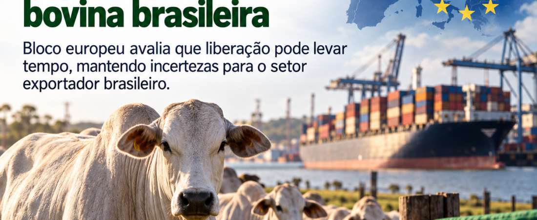 União Europeia prevê demora para retomar importação de carne bovina brasileira